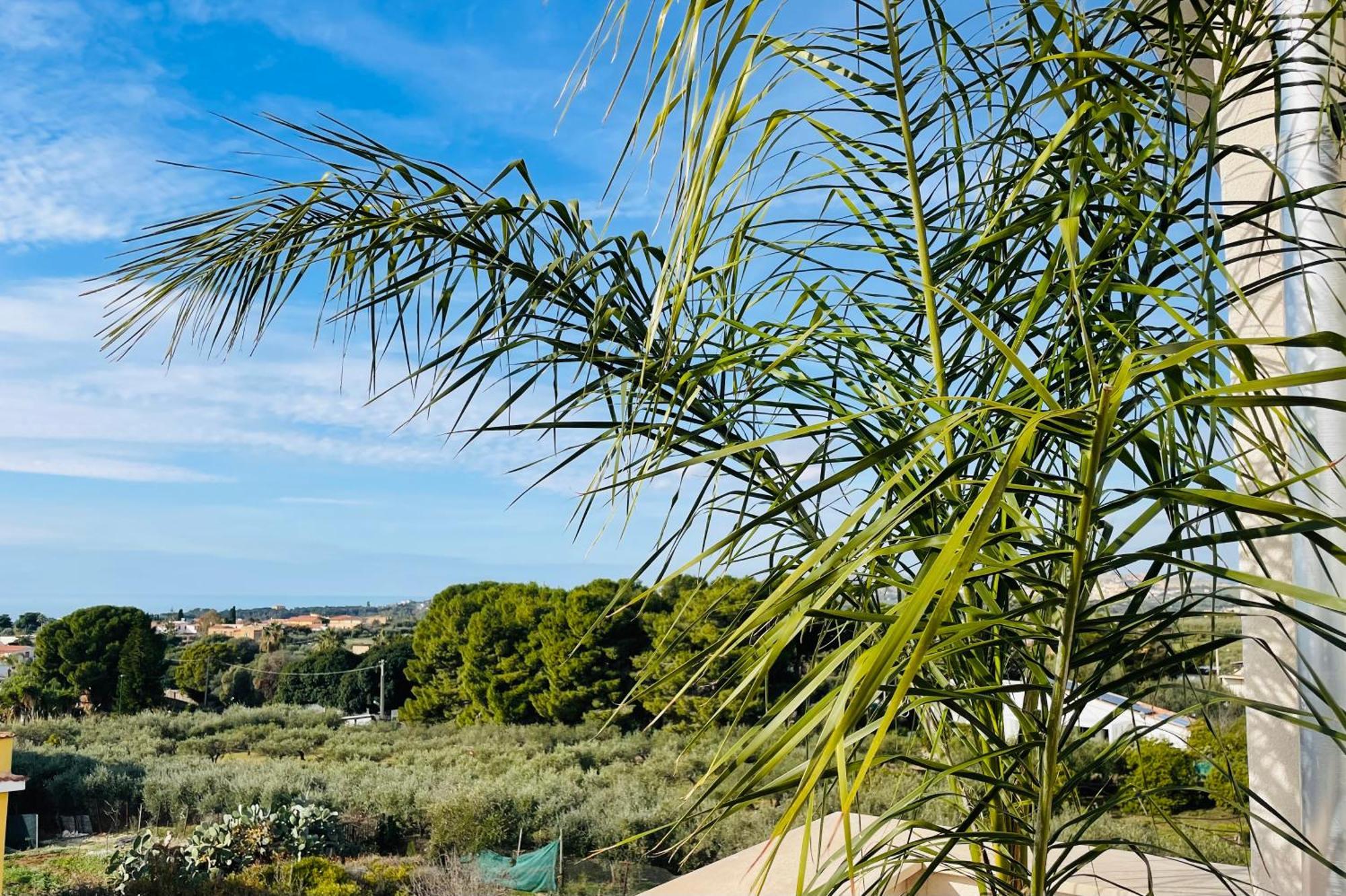 Alika Apartment Agrigento Eksteriør bilde